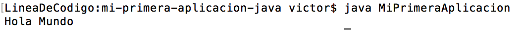 Ejecutando Mi Primera Aplicación Java